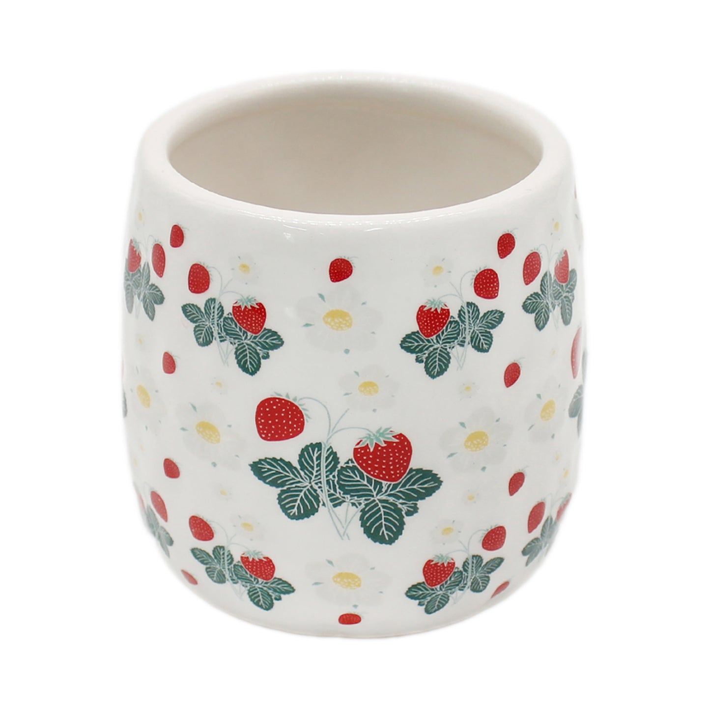 4" Strawberry Planter