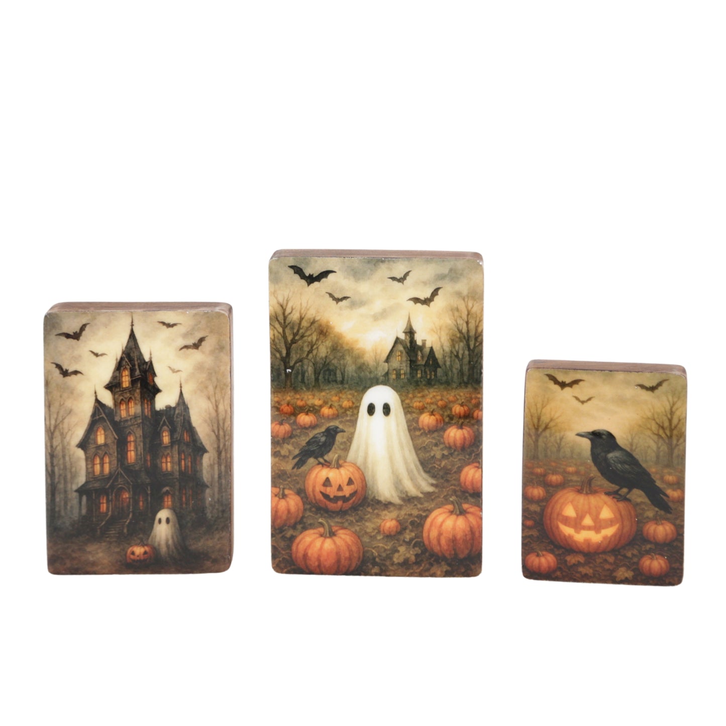Set of 3 Haunted Blocks