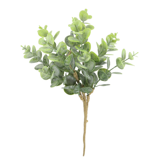 Plain Eucalyptus Pick