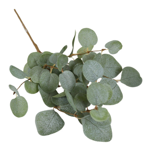 Basic Eucalyptus Pick