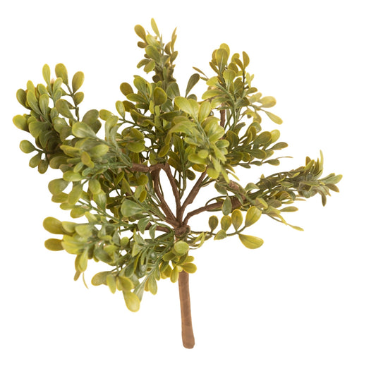 Boxwood Pick