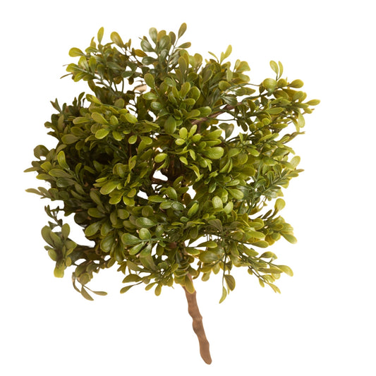 Large Boxwood Pick