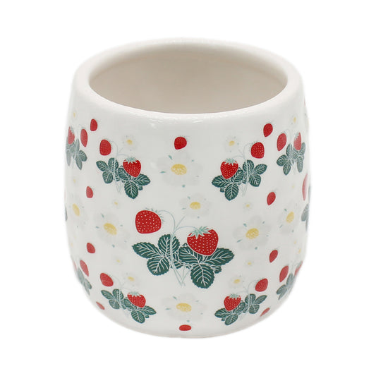 4"  Strawberry Planter