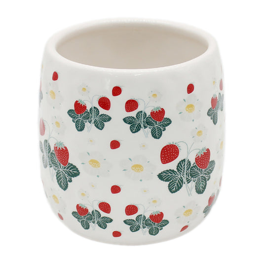 4.5"  Strawberry Planter