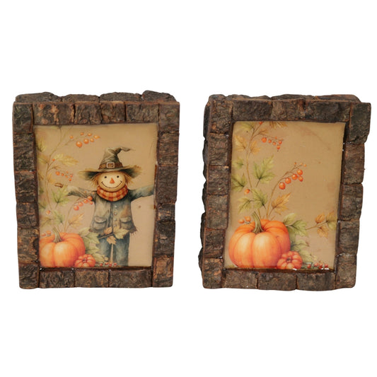 Set of 2 Scarecrow and Pumpkin Live Edge Blocks