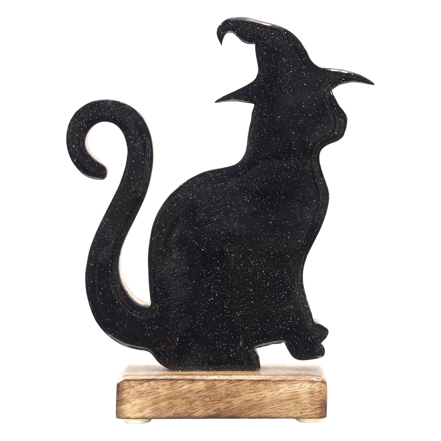 Black Witch Cat