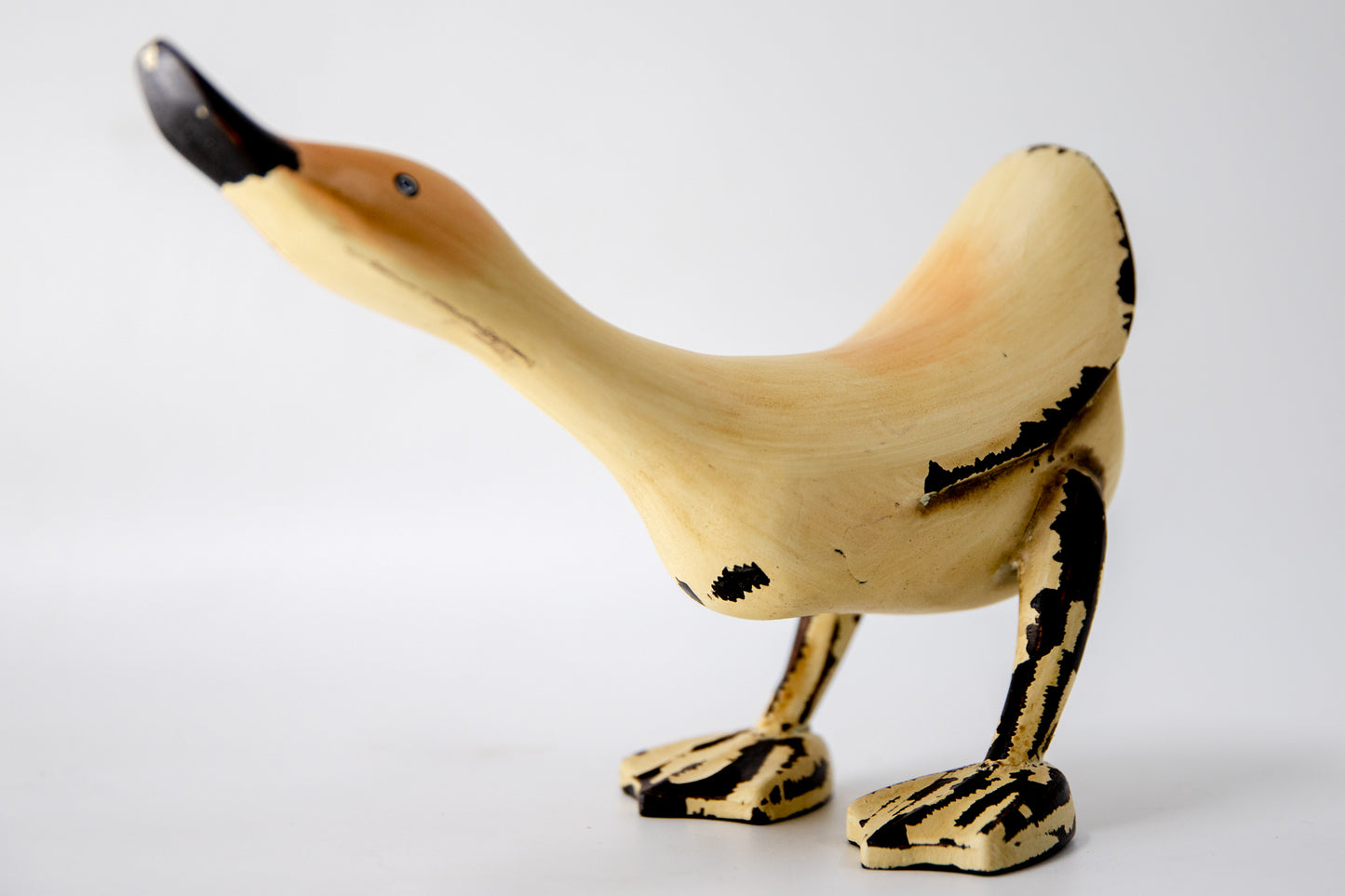 Primitive Duck