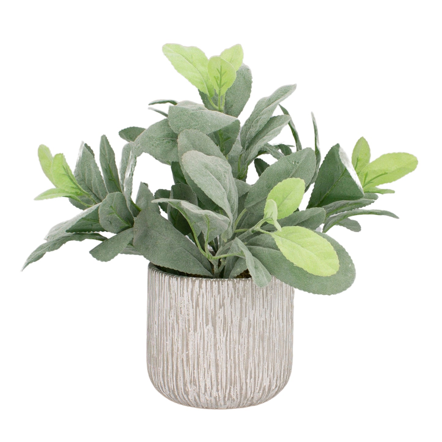 Key Lime Planter