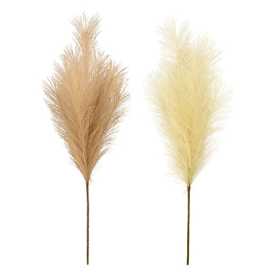Assorted colors Pampas Stems 30"
