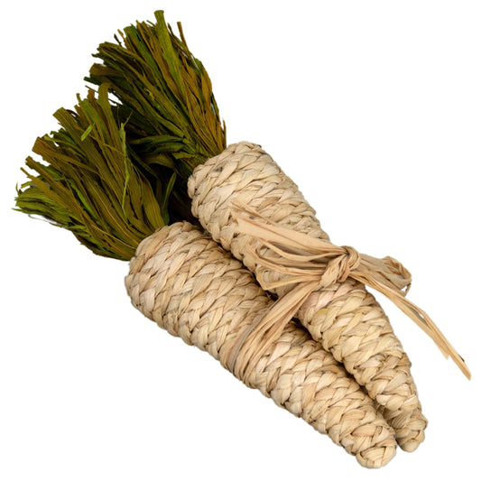 Raffia Carrot Bundle