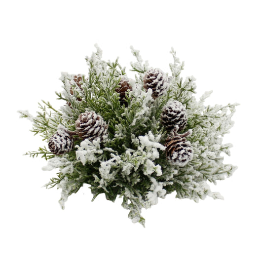 Snowy Arborvitae Orb