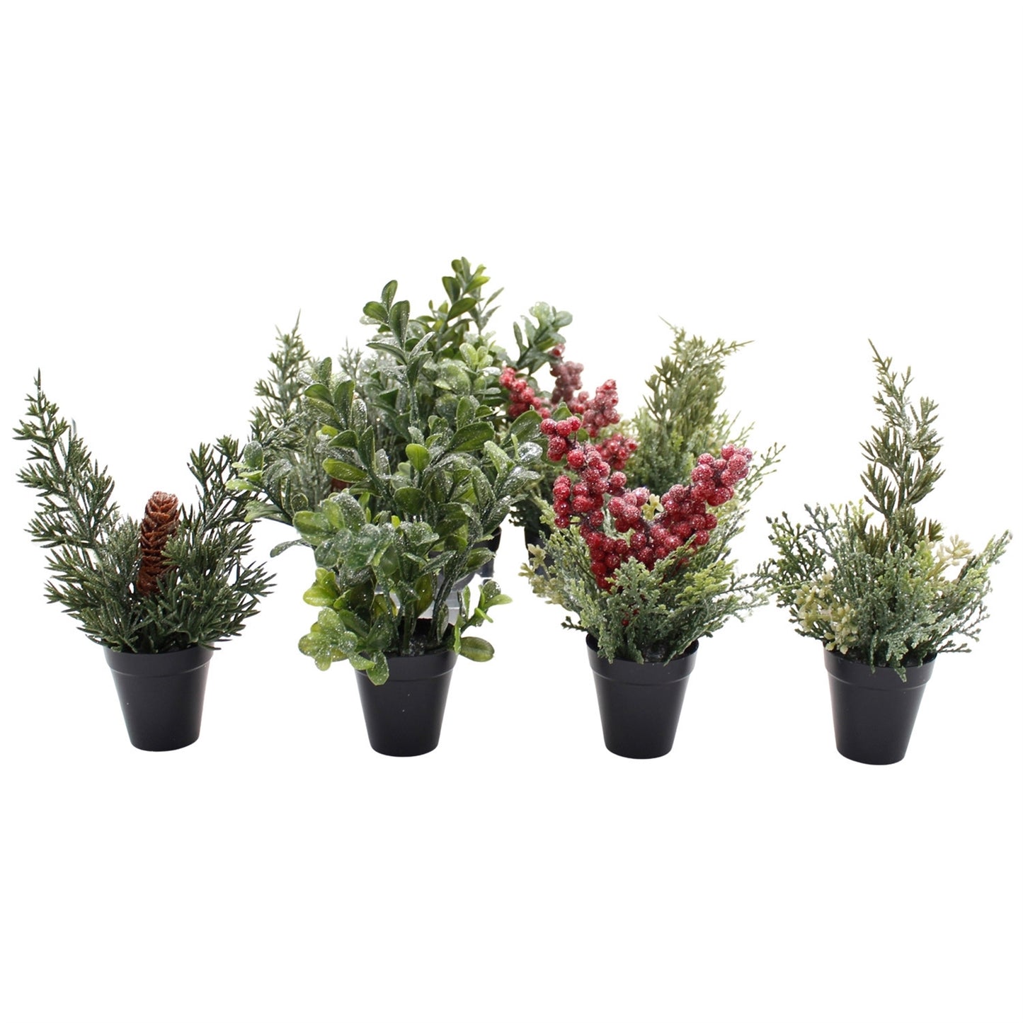 Set of 12 Mini Winter Plants
