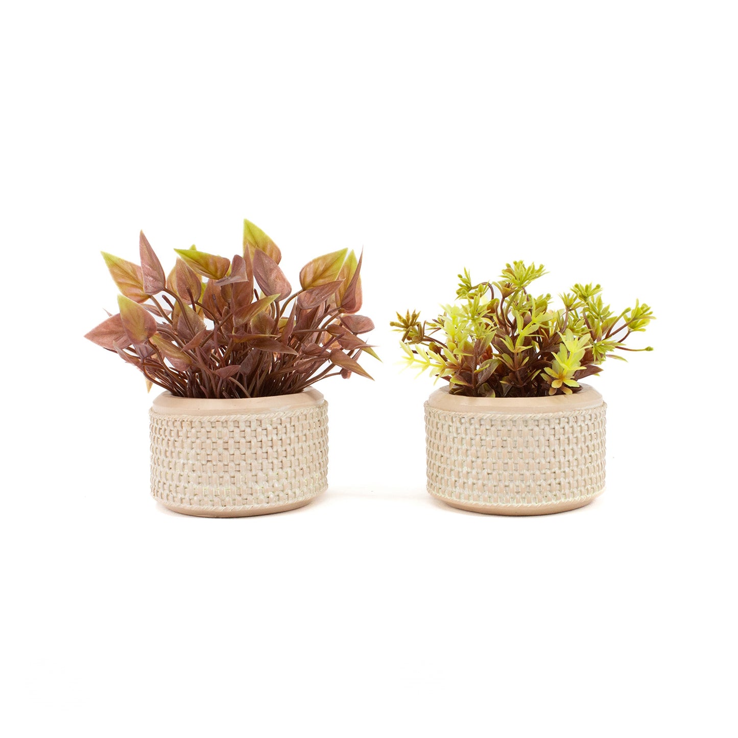 Set of 2 Resin Planters with Plants