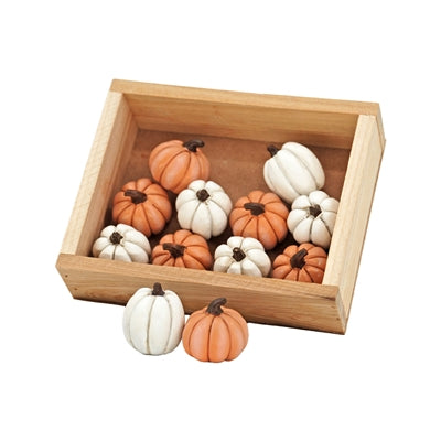 S/12 Tan and White Resin Pumpkins