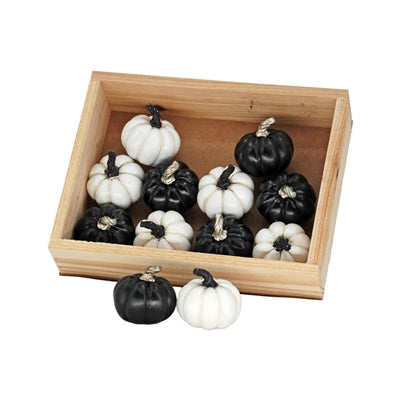 S/12 Black and White Resin Pumpkins