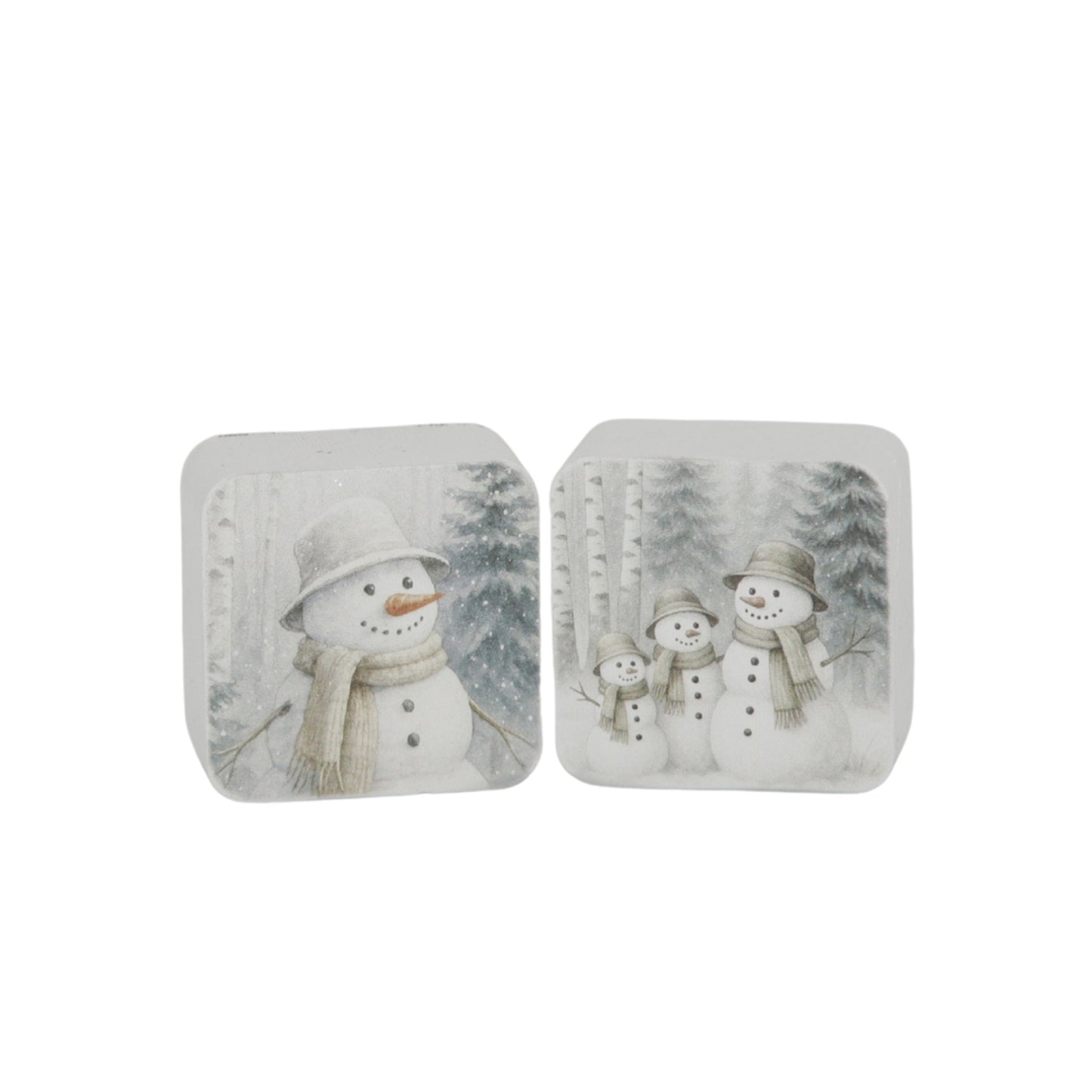 Set/2 Snowman Forest Mini Blocks