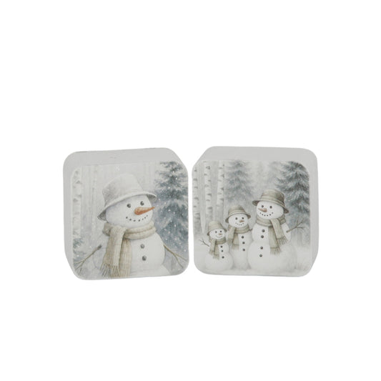 Set/2 Snowman Forest Mini Blocks